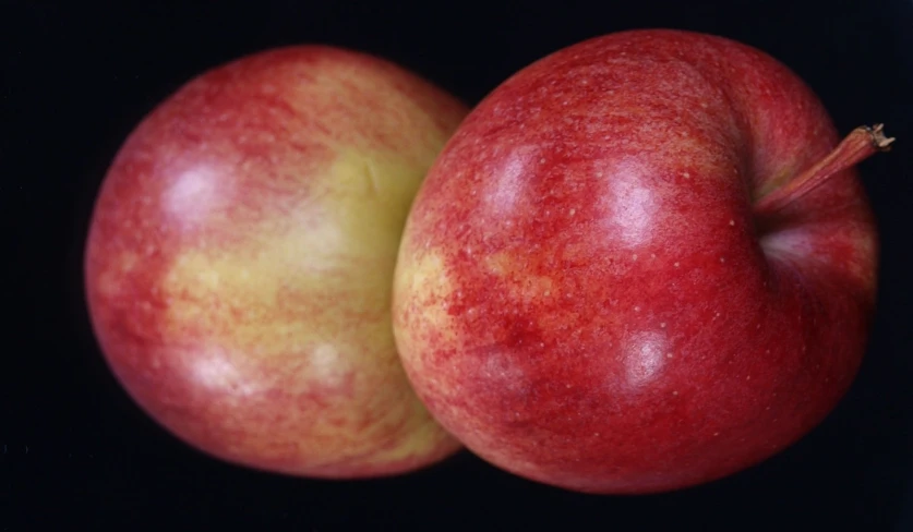 two apples sitting side by side one has red and yellow spots