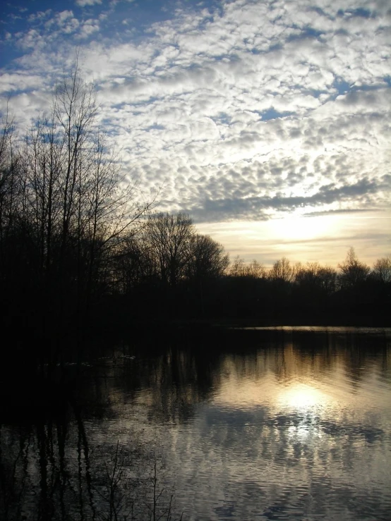 a lake and trees in the foreground at sunset