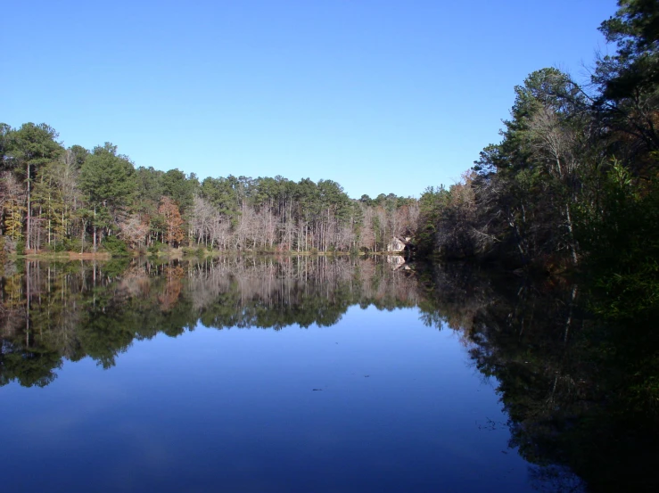 a beautiful lake with lots of trees and a blue sky