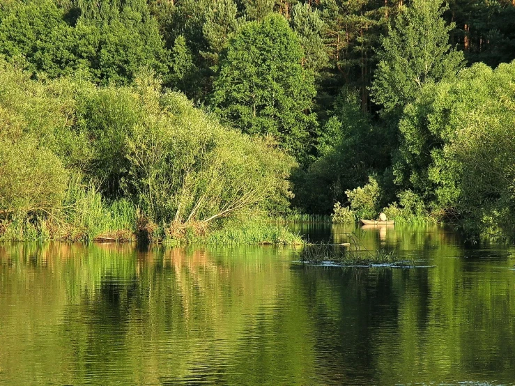 a river with many trees reflected in the water