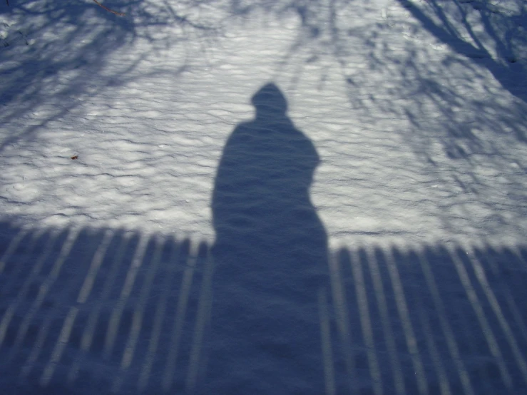 the shadow of someone standing in front of a tree