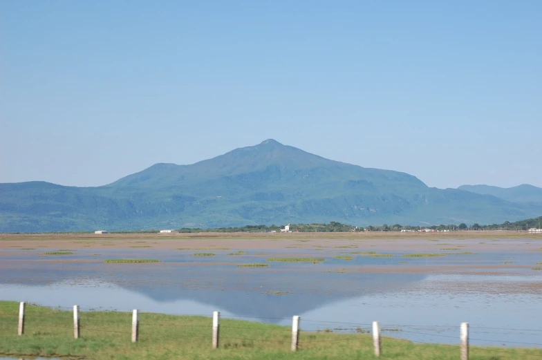 two horses near the edge of an open marsh