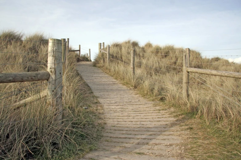 a wooden path is next to a grassy field