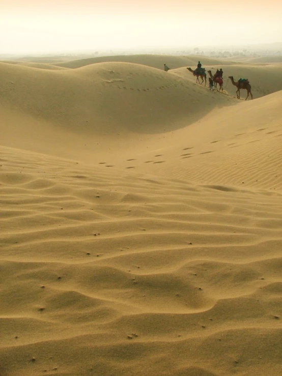 two people on horseback ride down a sandy field