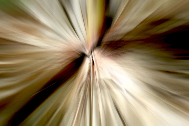 an abstract view of the inside of the image