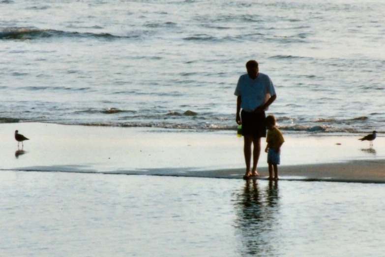 a man and child are standing at the beach watching birds