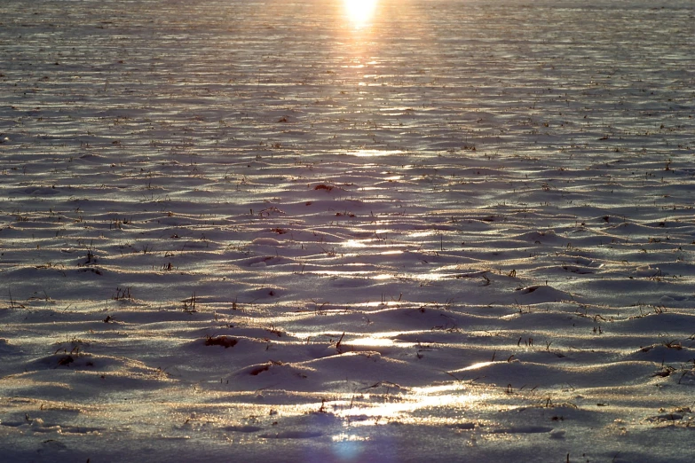 the sun is setting on a snow covered ground