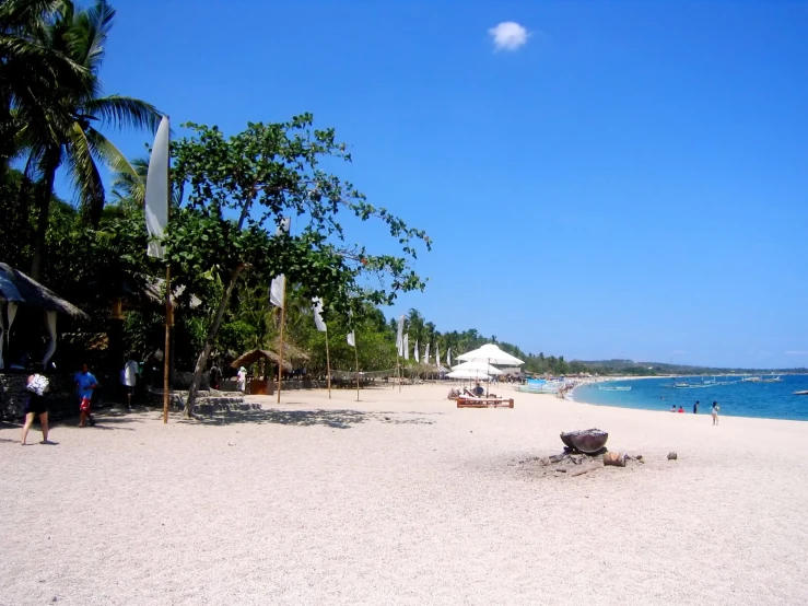 the beach is filled with many tourists walking near the trees