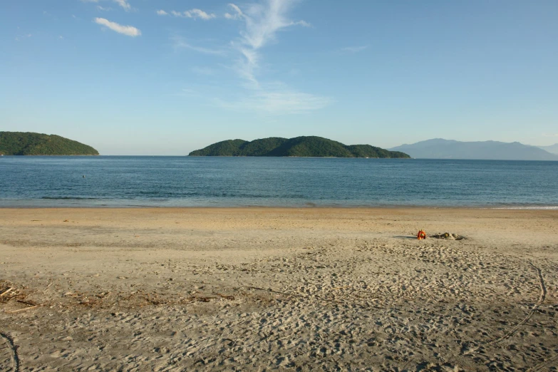 a dog standing on top of a sandy beach