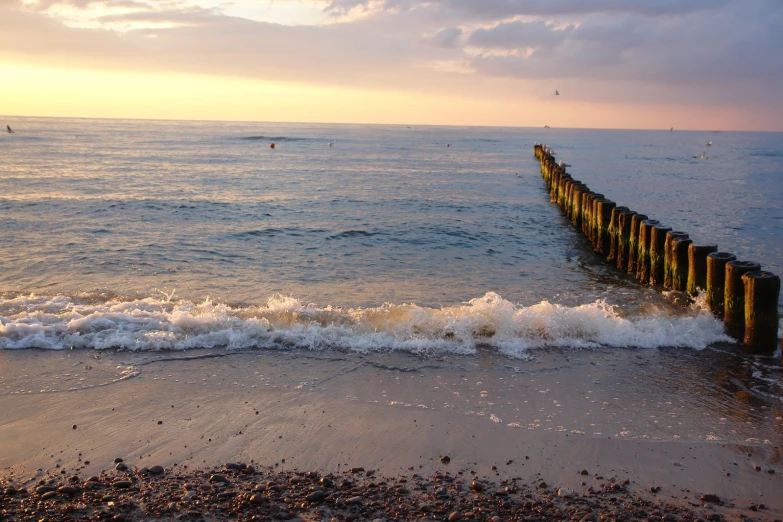 an old, weathered dock extends into the ocean