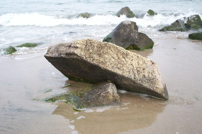 two rocks laying on top of the wet shore