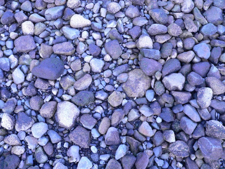 a couple of rocks are seen here together