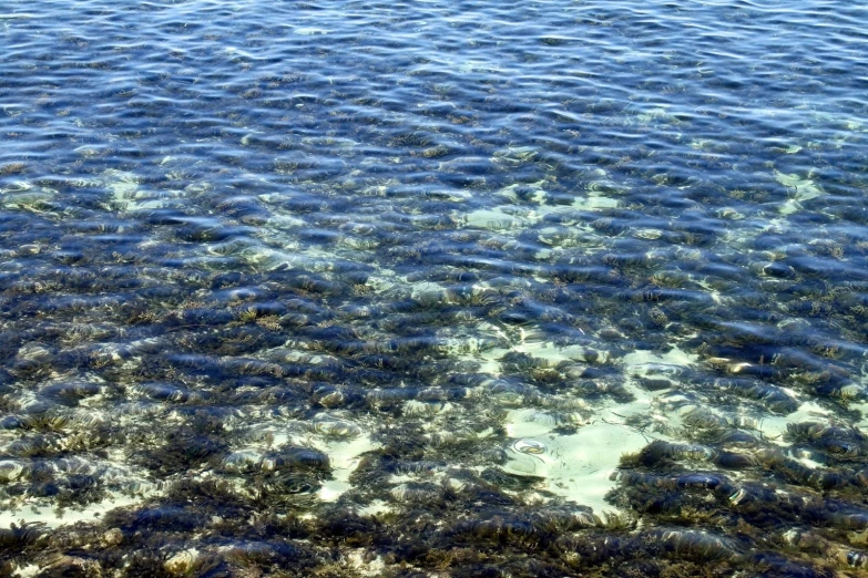 water and sand at the edge of a beach