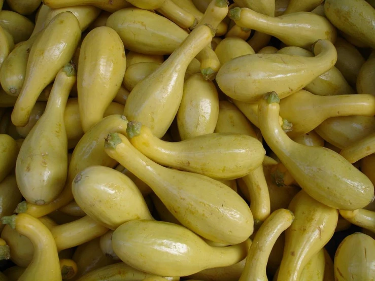 a pile of long - legged squash with no tops