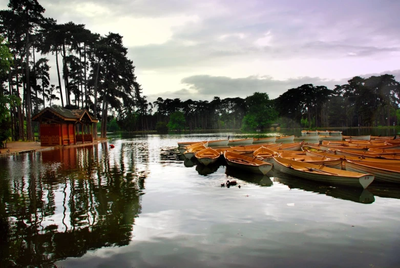 boats on a lake in front of trees