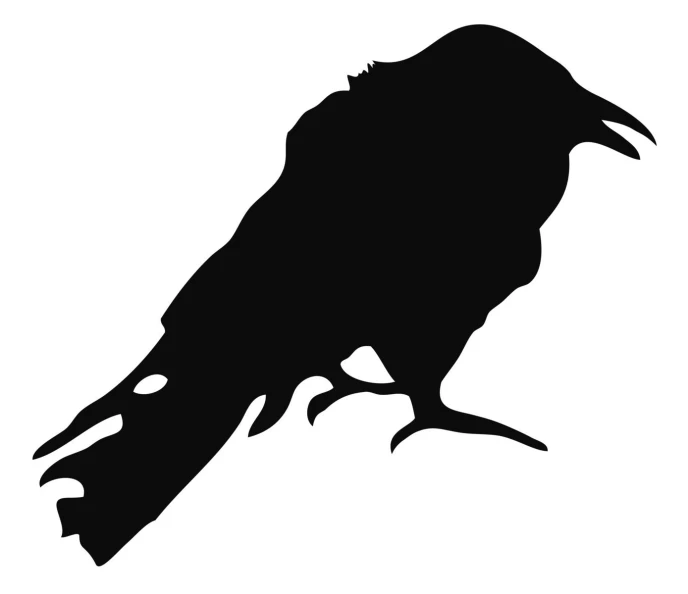 a black silhouette of a bird on a nch