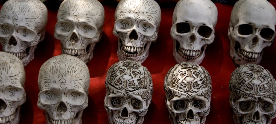 a group of skulls are on display at a shop