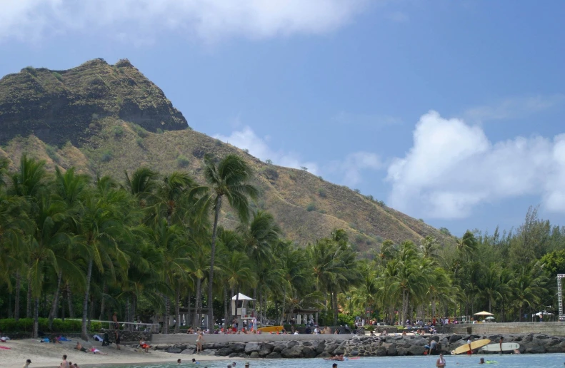 people enjoy the beach and surf in the ocean