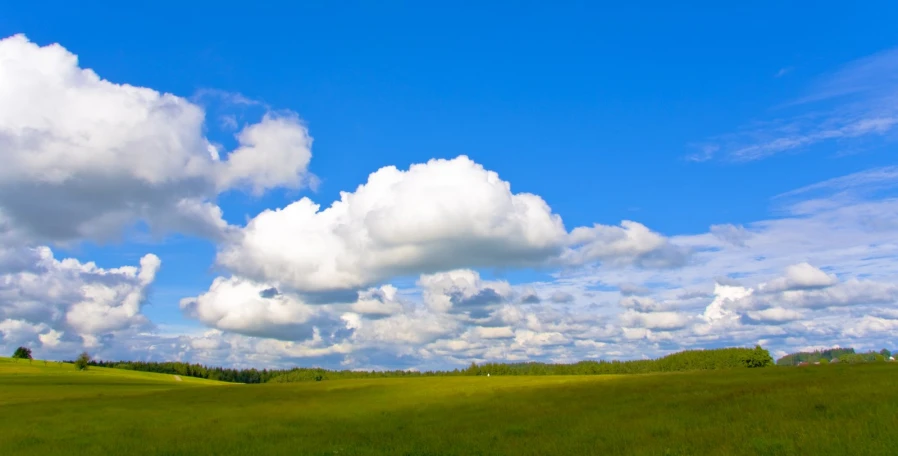 green landscape with fluffy clouds, trees and a blue sky