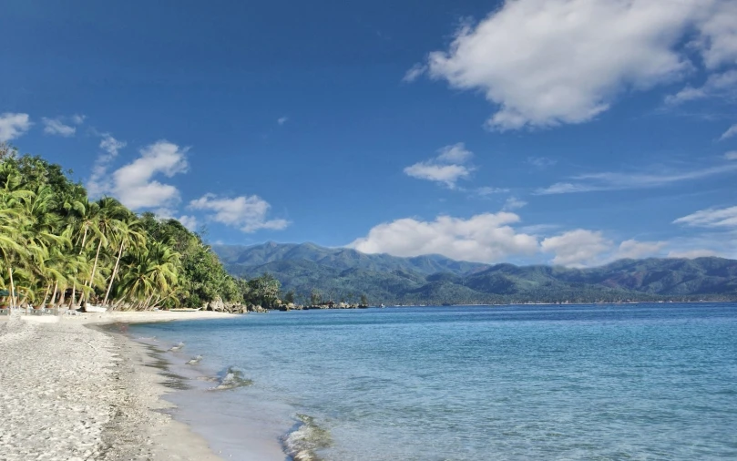 a white sand beach with palm trees and blue sky