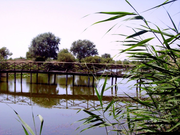 a wooden bridge over a body of water