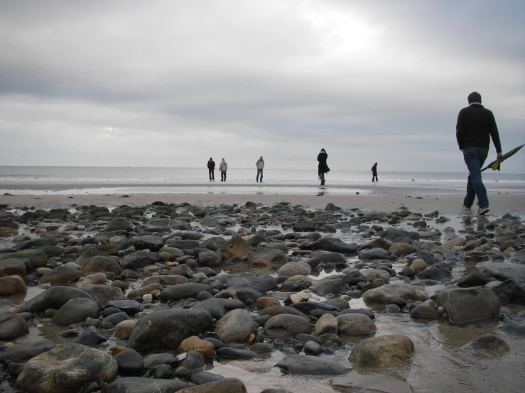 several people are walking in the water and carrying their surfboards