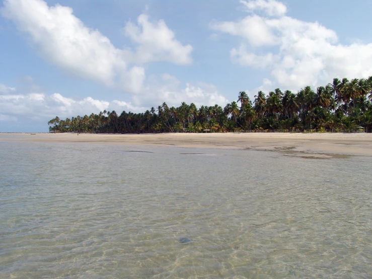 a body of water with trees in the background