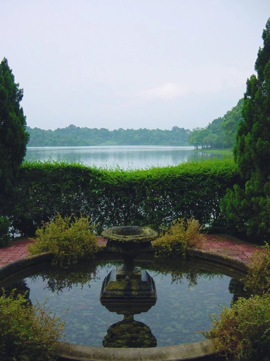 a small pond near some hedges with bushes