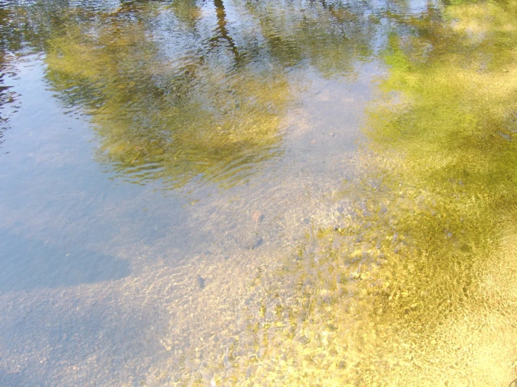 a view of the clear blue water of some shallow water