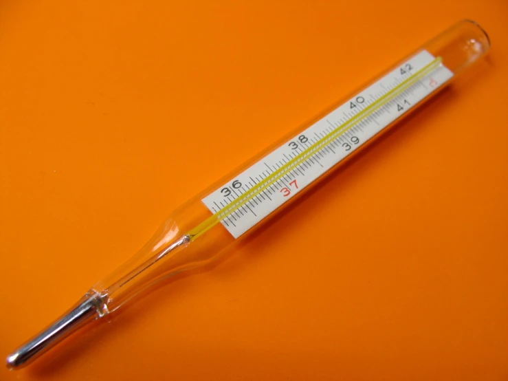 a syorotoid on a bright orange surface