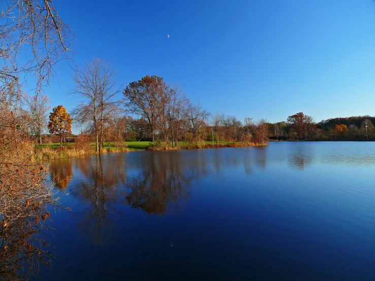 a large body of water surrounded by trees