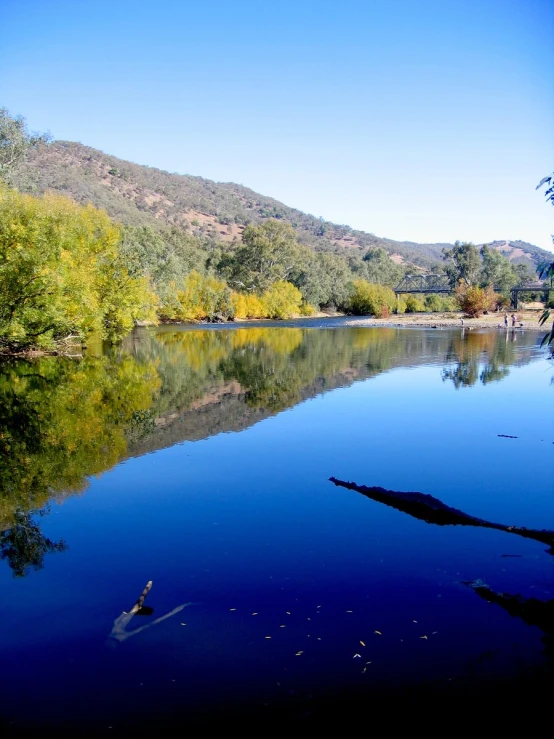 the calm water has a reflection of trees in it