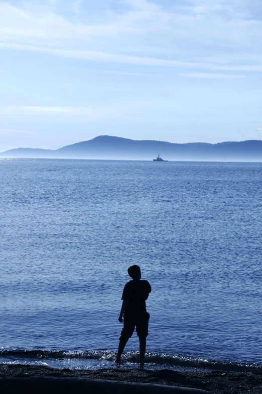 a person walks on the shore of a beach