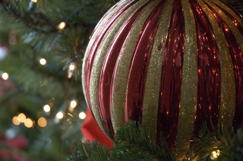 a red and green ornament hanging from a tree