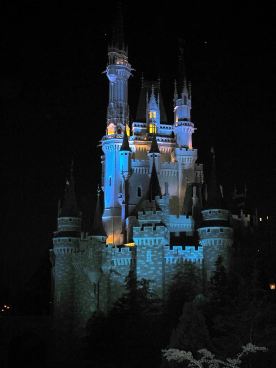 a castle lit up in the night at night
