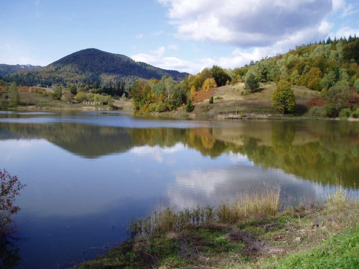 a placid mountain lake with an area full of trees in the foreground