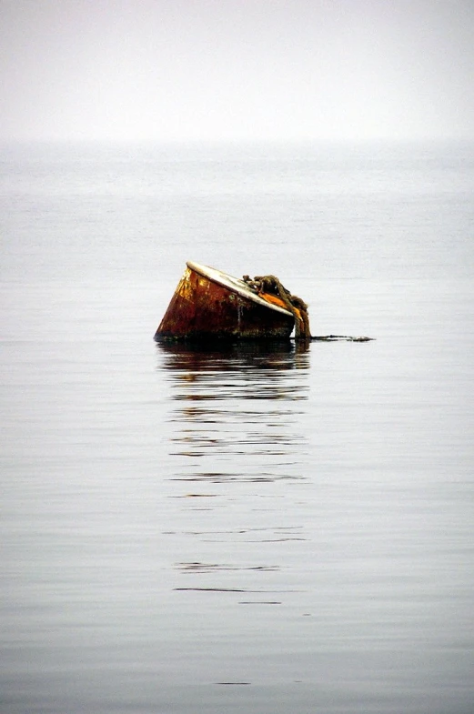 a rusted out boat floating in the middle of water