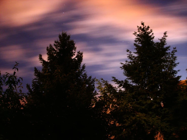 the sky over some trees is pink and cloudy