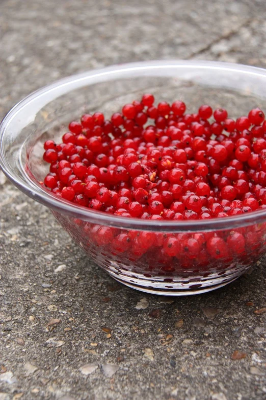 a bowl full of berries on the ground