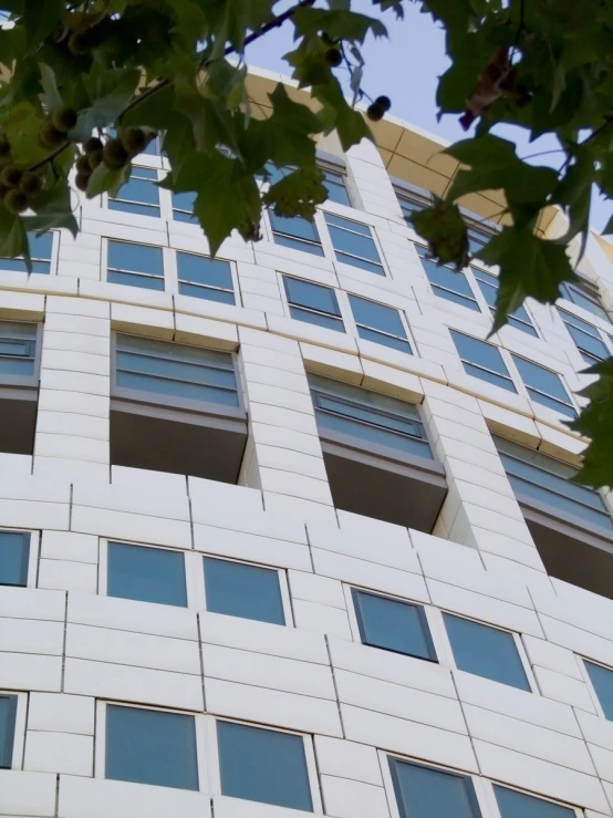 a building made of white ceramic brick near many green leaves