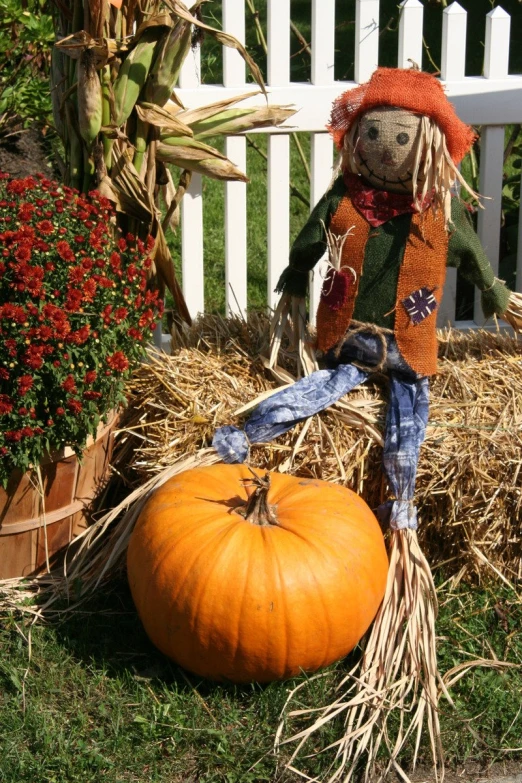 a scarecrow doll sits on some hay with a pumpkin