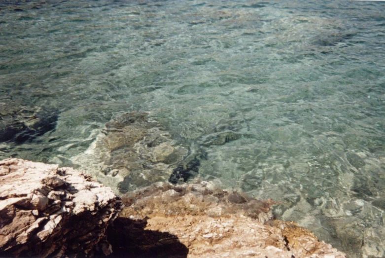 a bunch of rocks in some clear water