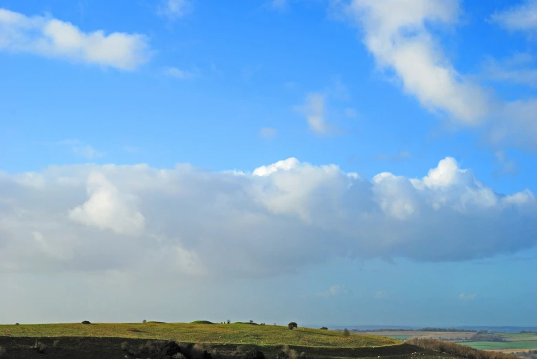 cows standing on the ground beneath some clouds