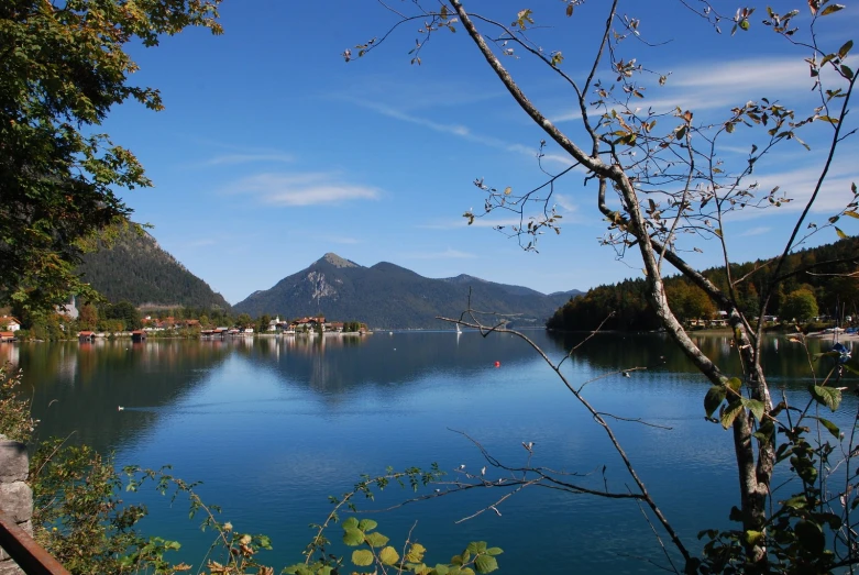 a calm lake surrounded by a forest under a blue sky