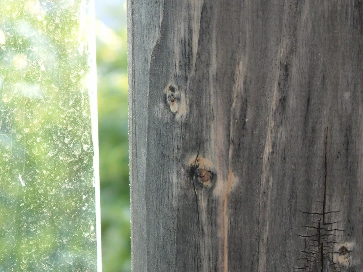 an image of wood with the window open