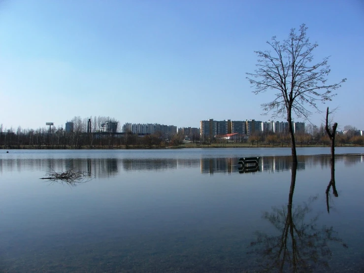 a body of water that is in front of trees