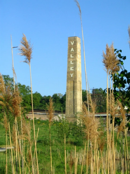 an obelisk with an inscription standing in a field