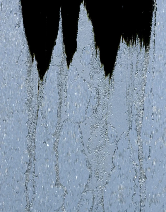 two birds standing next to each other with water splatters on the side