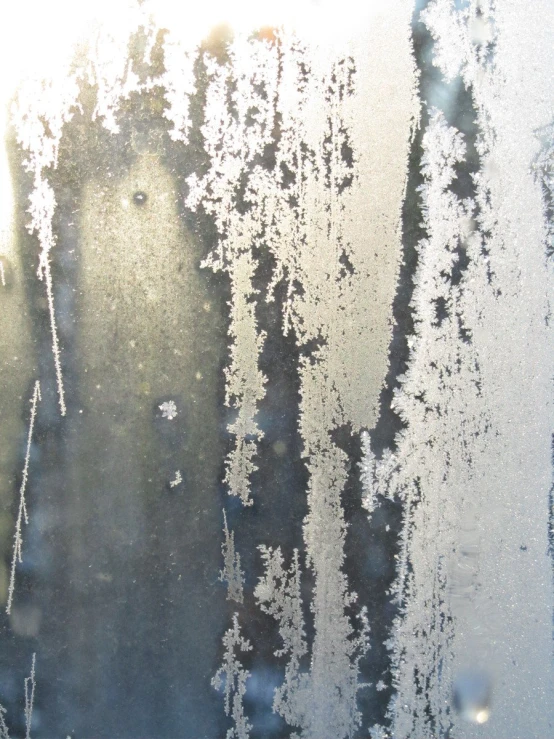 ice covered window with trees in the background