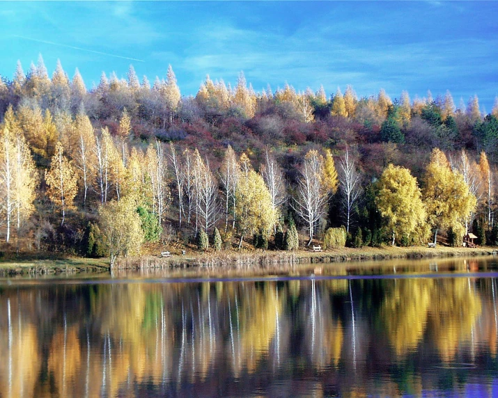 a lake surrounded by trees and colorful autumn foliage
